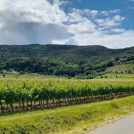 Altes Haeusle Am Waschbach Anno 1625 Und Doppelzimmer * Edenkoben