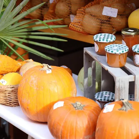 Altes Haeusle Am Waschbach Anno 1625 Und Doppelzimmer *