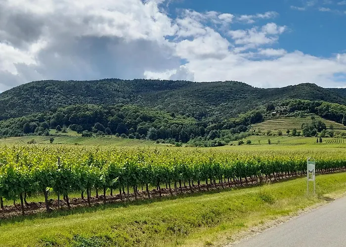 Altes Haeusle Am Waschbach Anno 1625 Und Doppelzimmer * 埃登科本